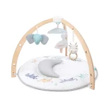 aden + anais Play+Discover Activity Gym